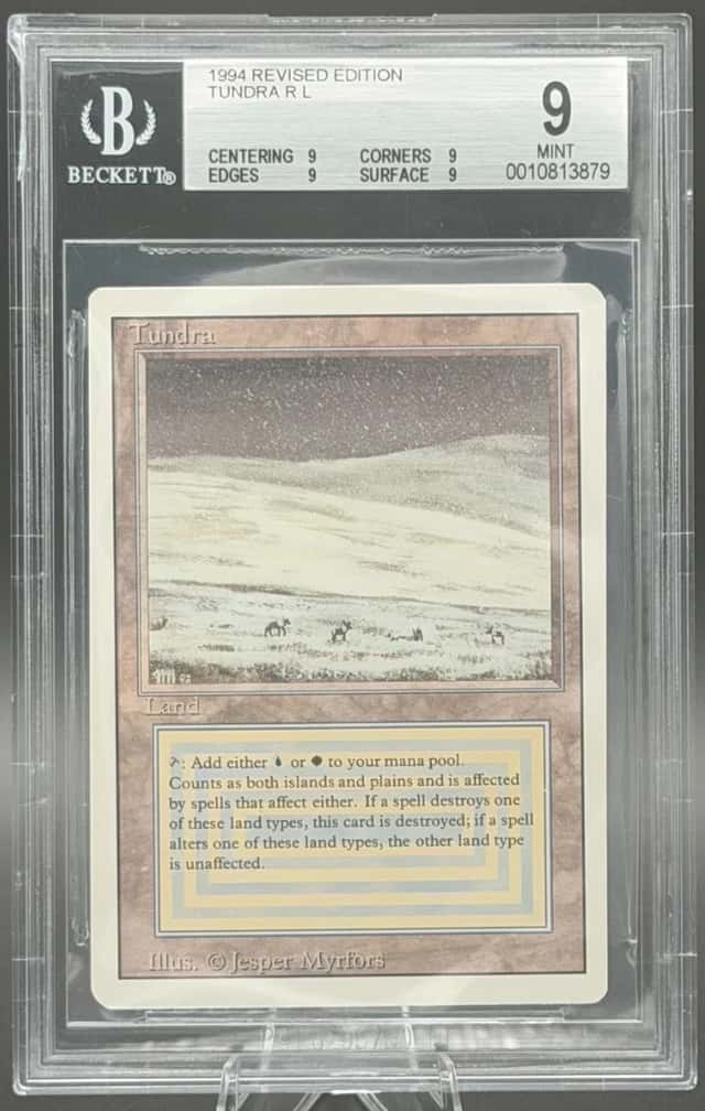 Tundra