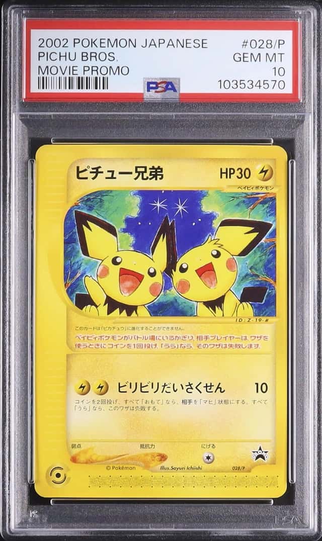 Pichu Bros