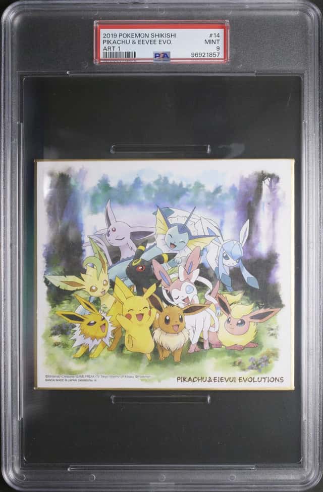 Pikachu & Eevee Evo