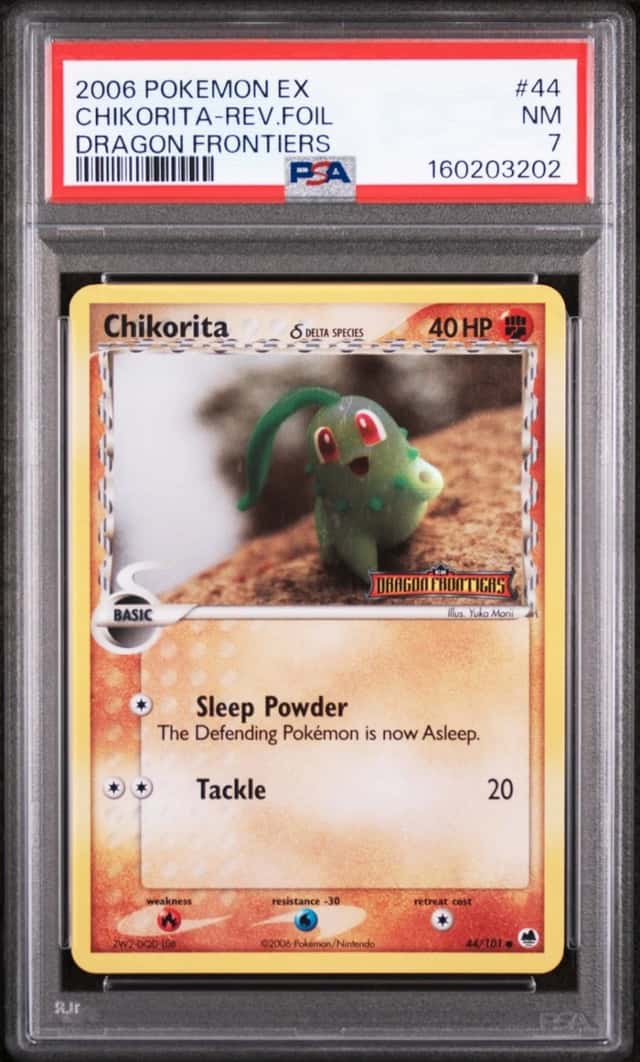 Chikorita Δ
