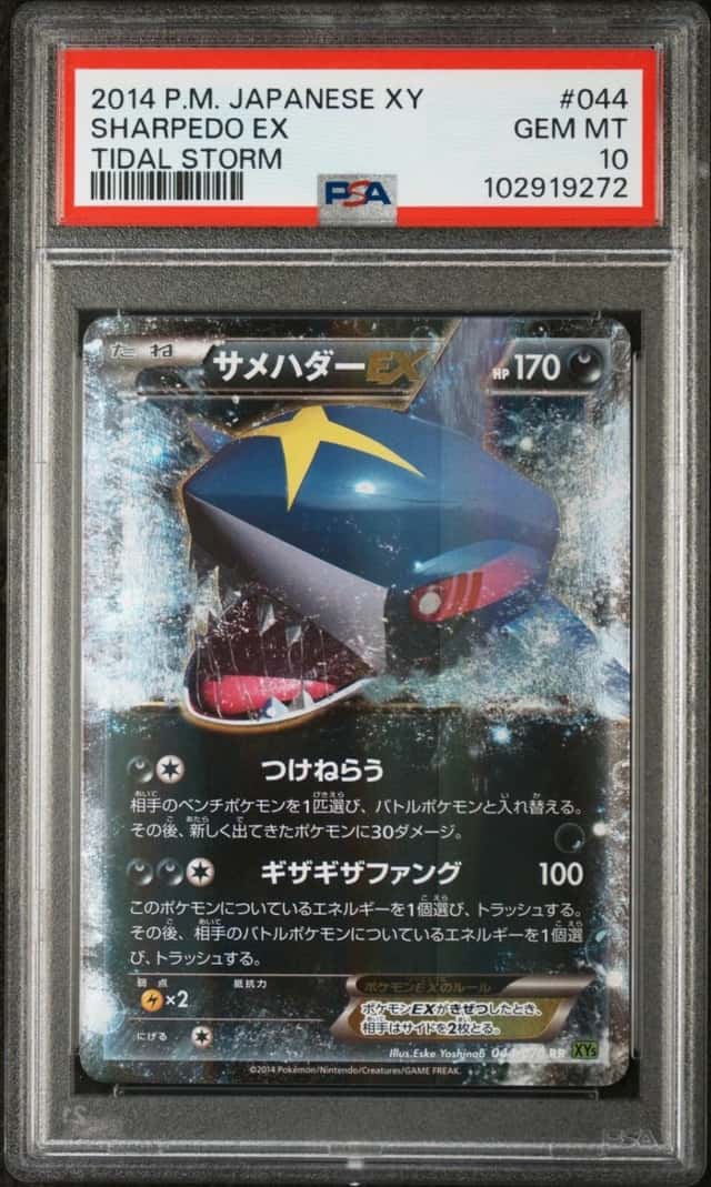 Sharpedo EX