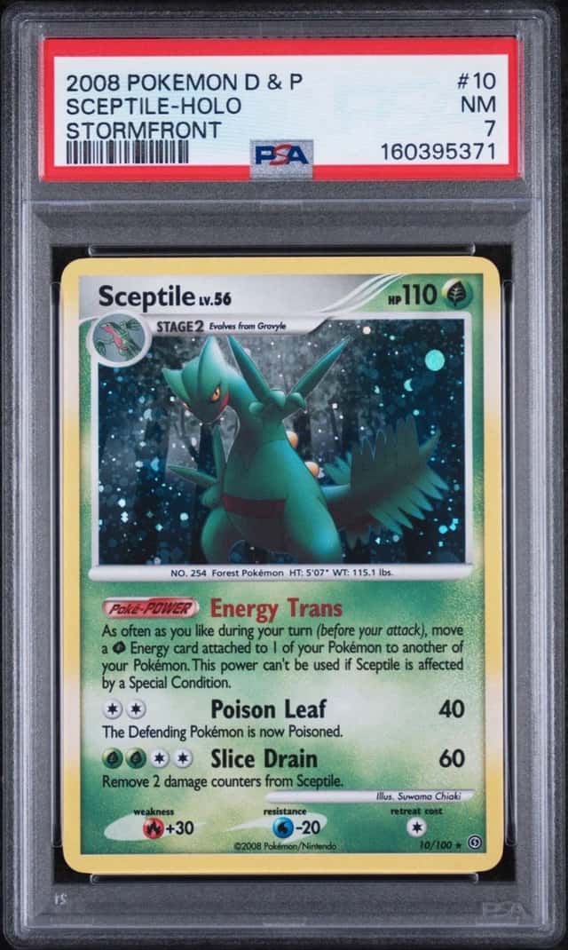 Sceptile