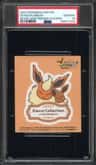 Eevee/flareon