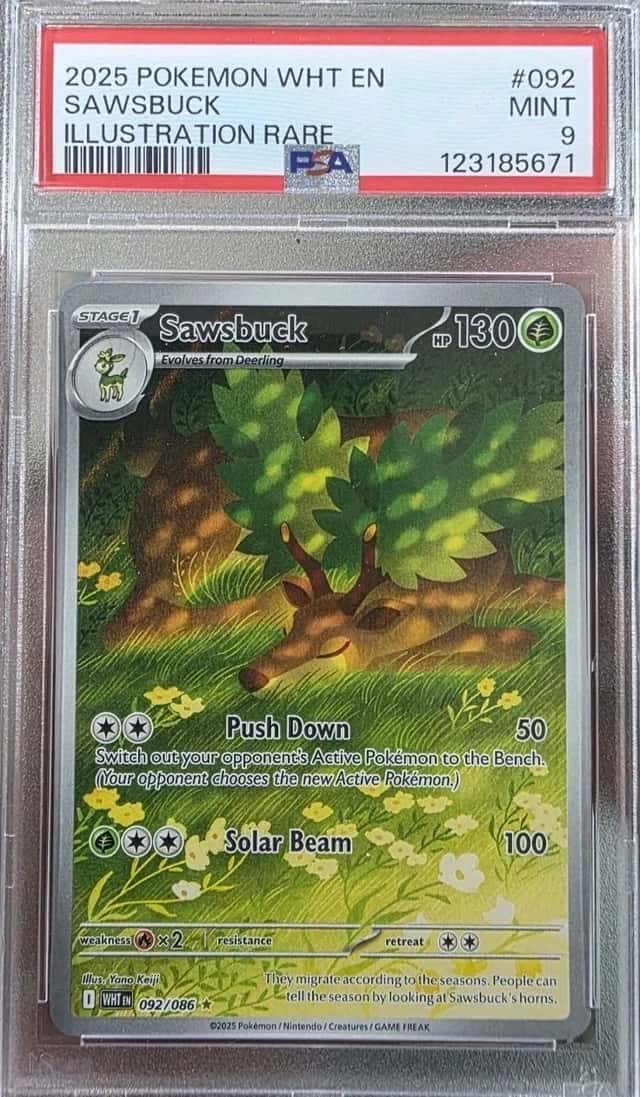 Sawsbuck