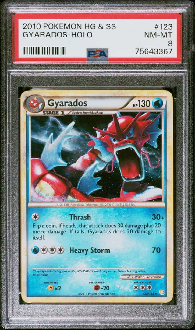 Gyarados
