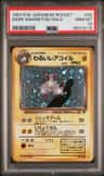 Dark Magneton