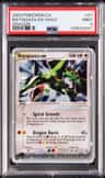 Rayquaza Ex