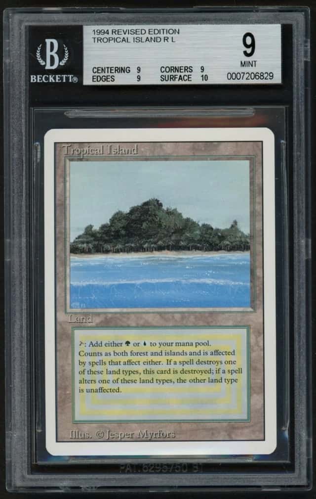 Tropical Island