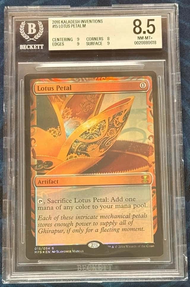 Lotus Petal