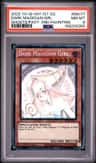 Dark Magician Girl