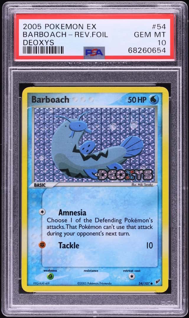 Barboach