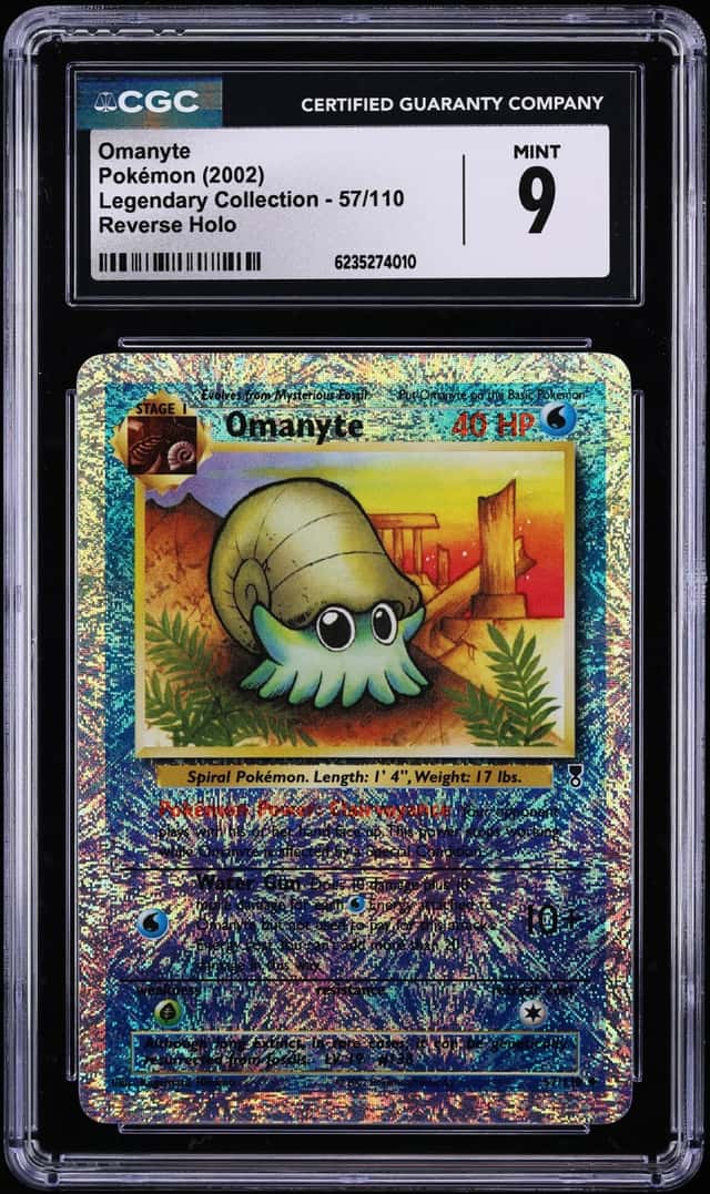 Omanyte