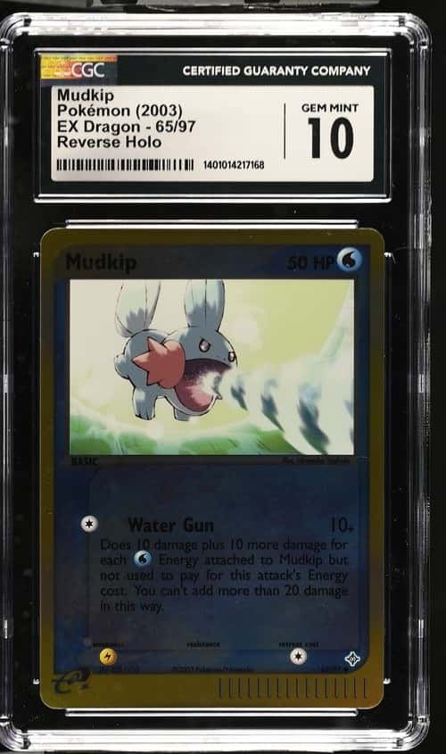 Mudkip