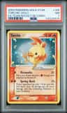 Torchic