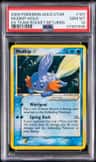 Mudkip