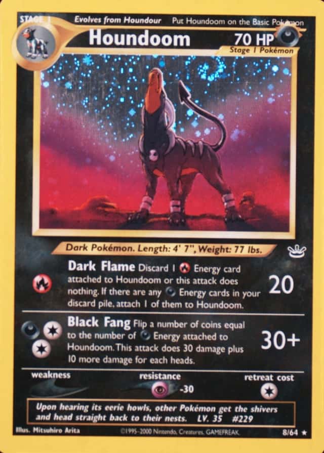 Holo
