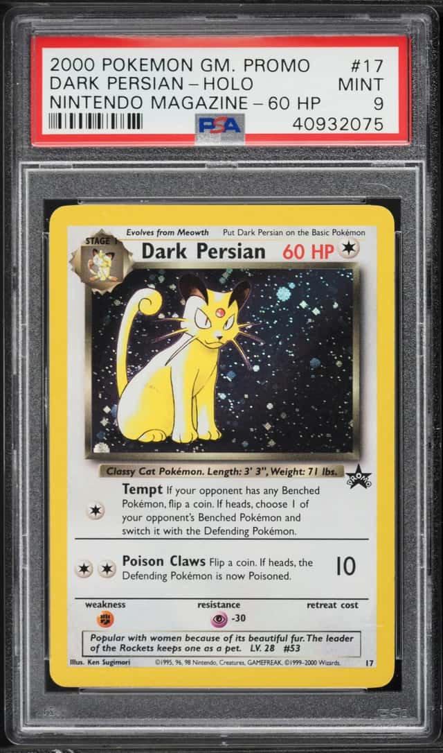 Dark Persian