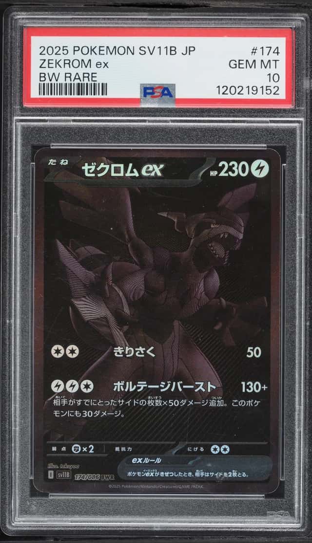 ZEKROM ex