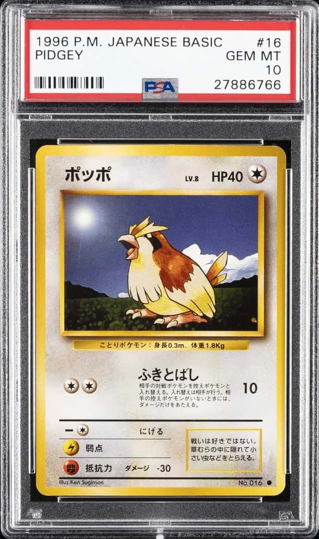 Pidgey