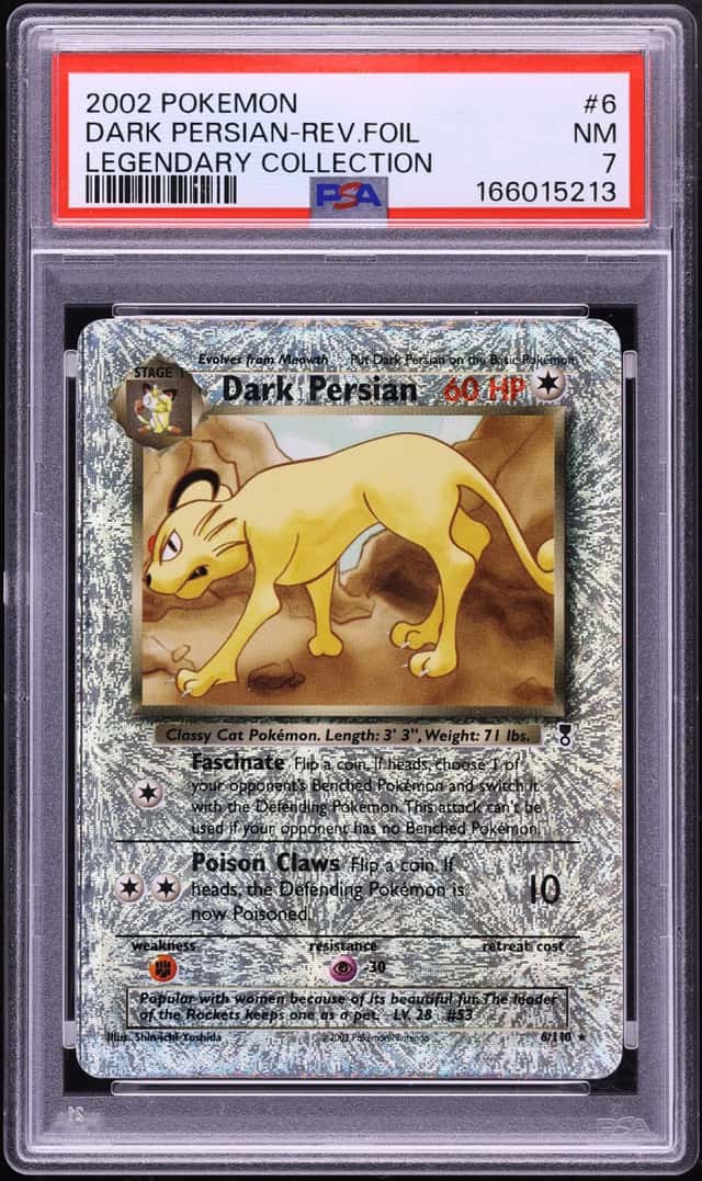 Dark Persian