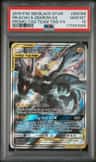 Pikachu & Zekrom Gx