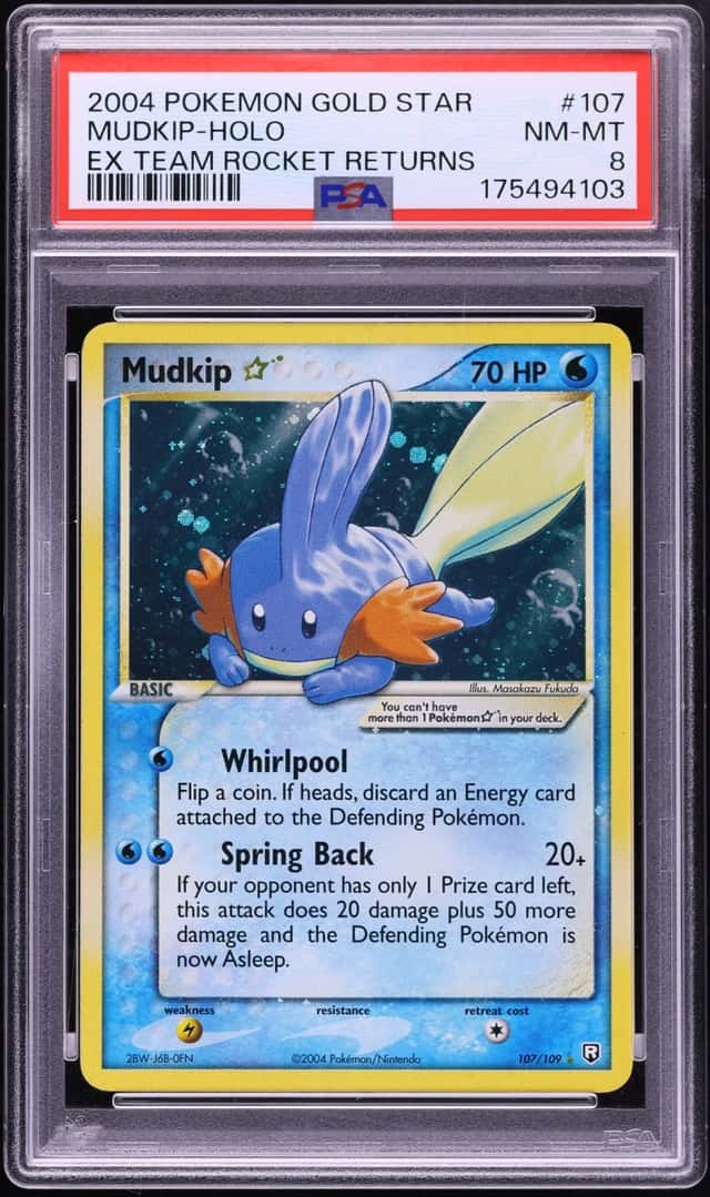 Mudkip