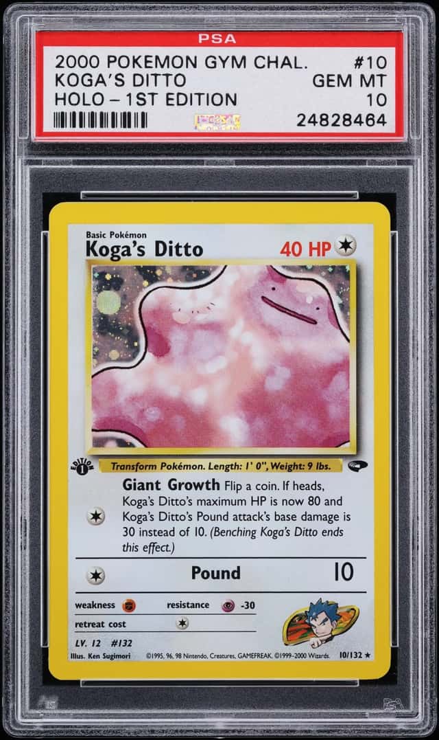 Koga's Ditto