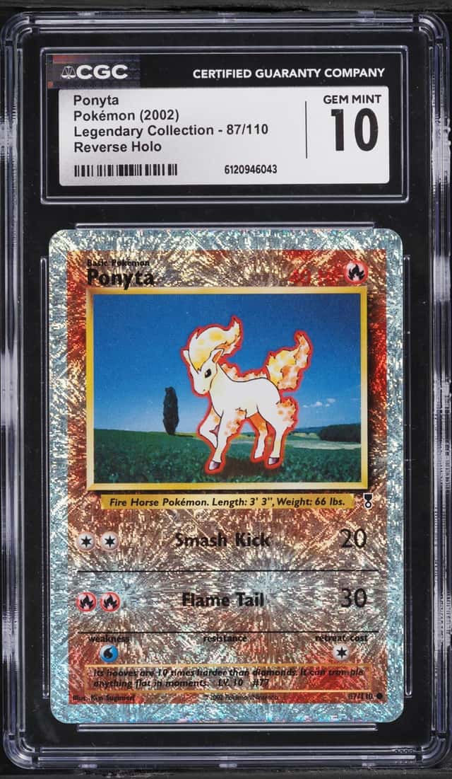 Ponyta