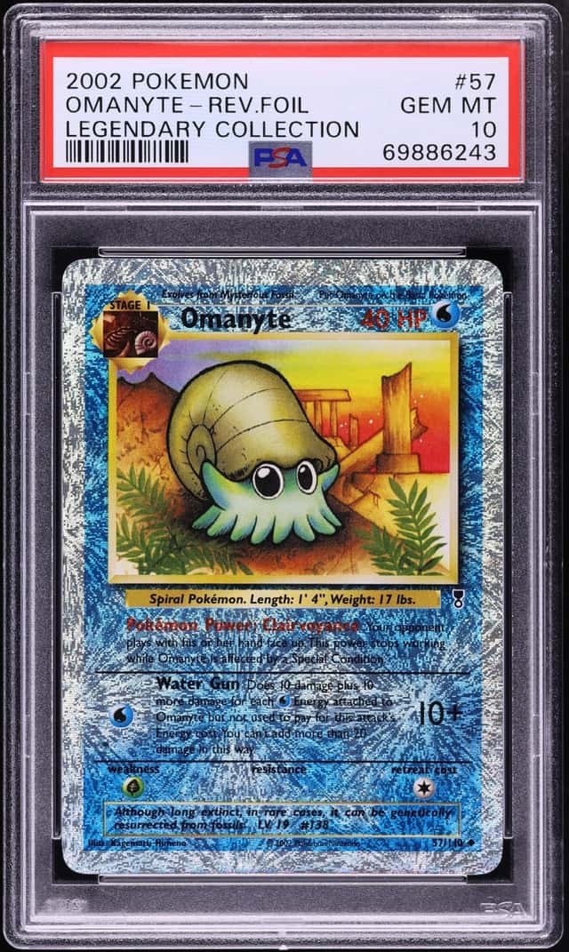 Omanyte