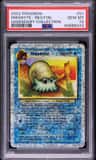 Omanyte