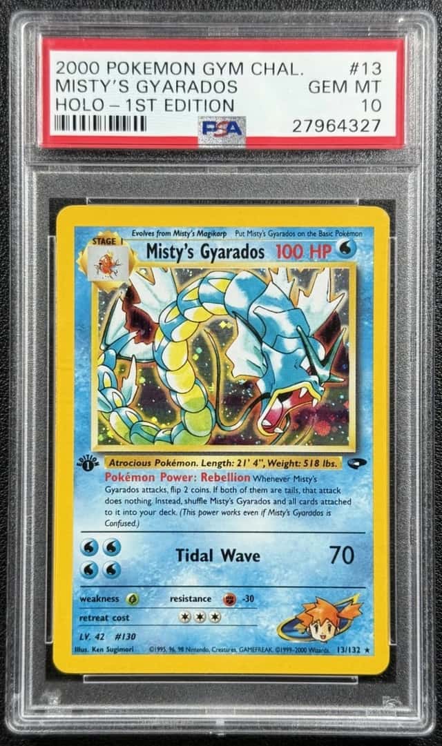 Misty's Gyarados