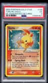 Torchic
