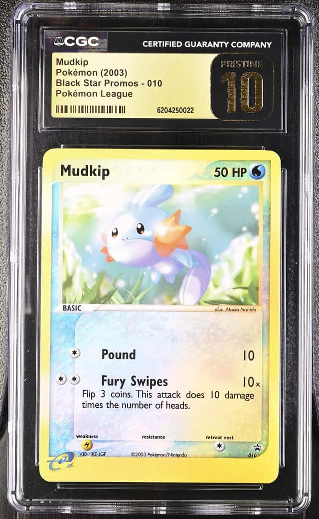 Mudkip
