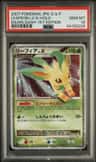 Leafeon Lv X