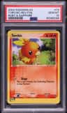 Torchic