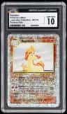 Rapidash