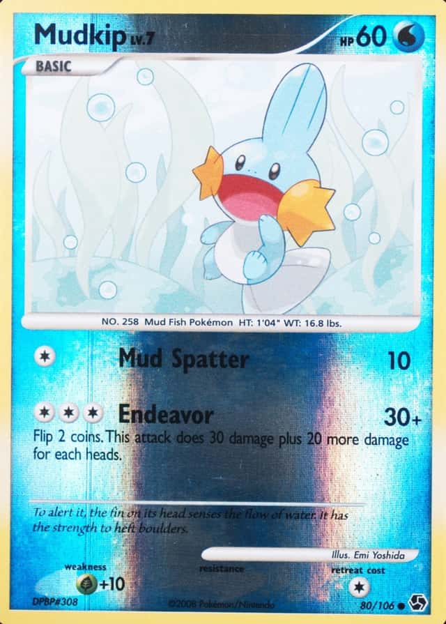Reverse Holo