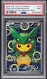 Poncho-Wearing Pikachu