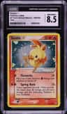 Torchic