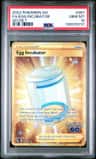 Egg Incubator