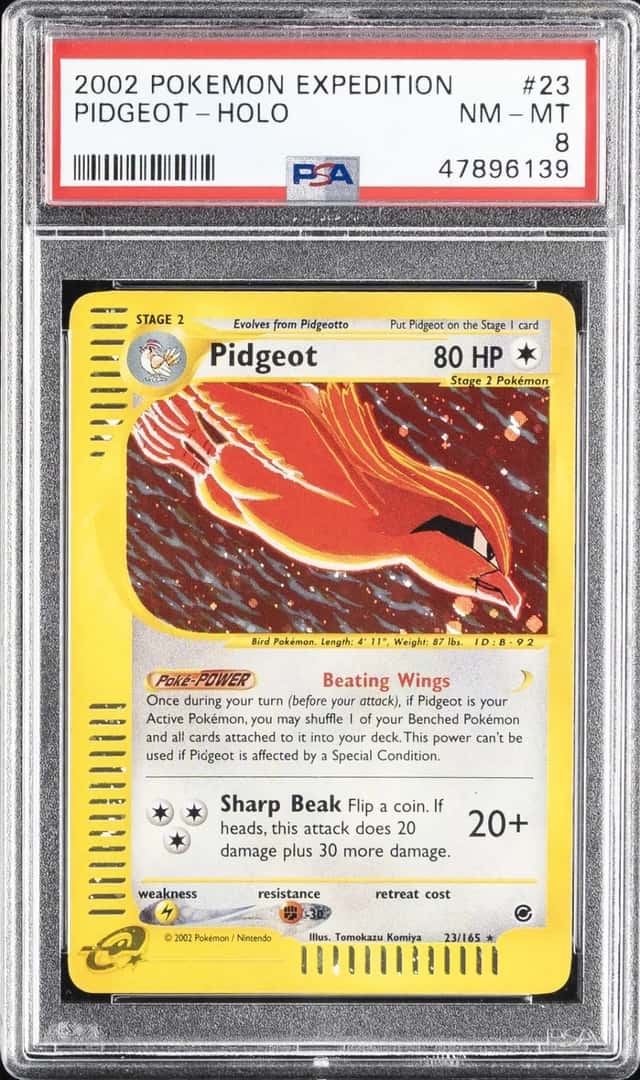 Pidgeot