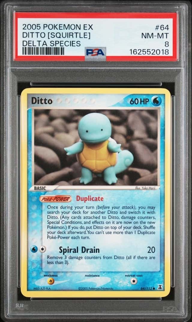 Ditto [Squirtle]