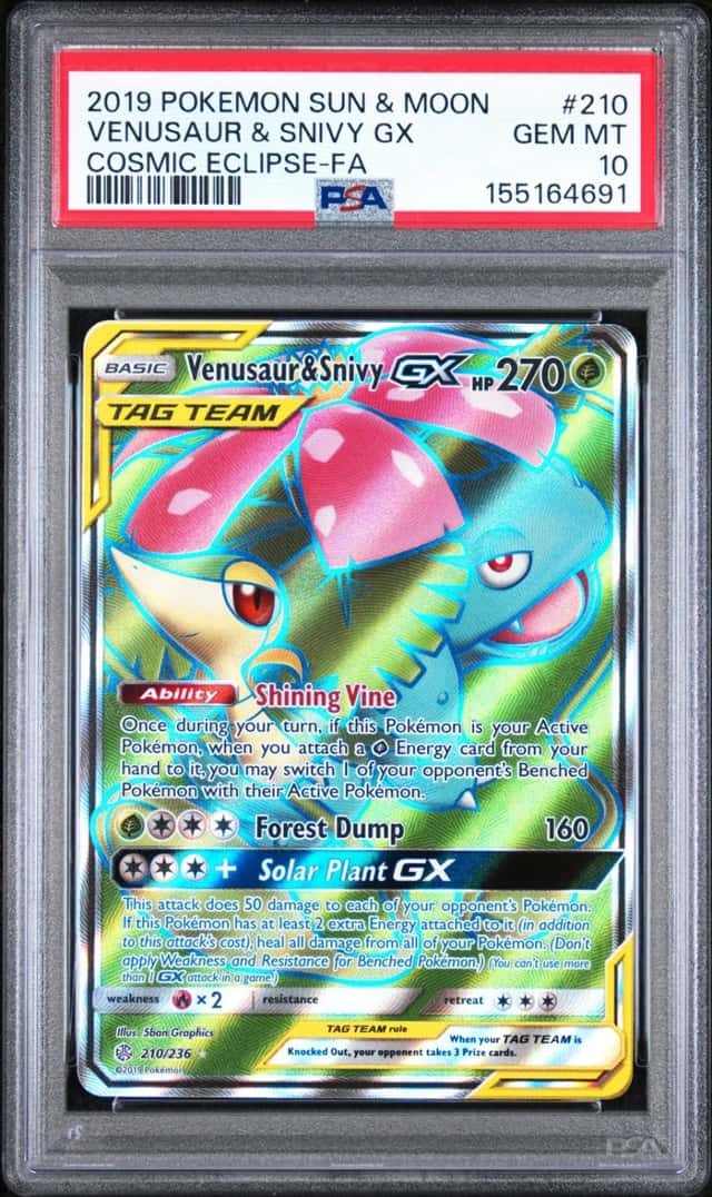 Venusaur & Snivy GX