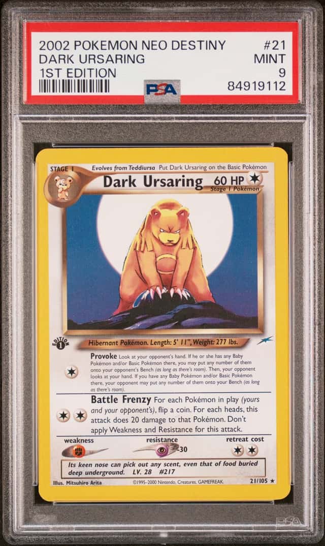 Dark Ursaring
