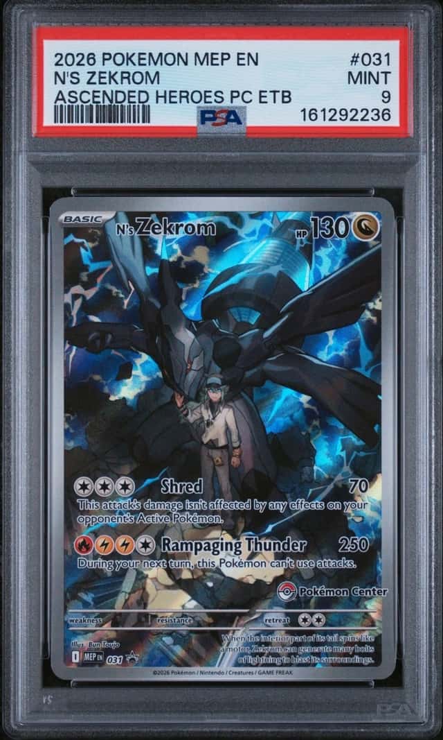 N's Zekrom