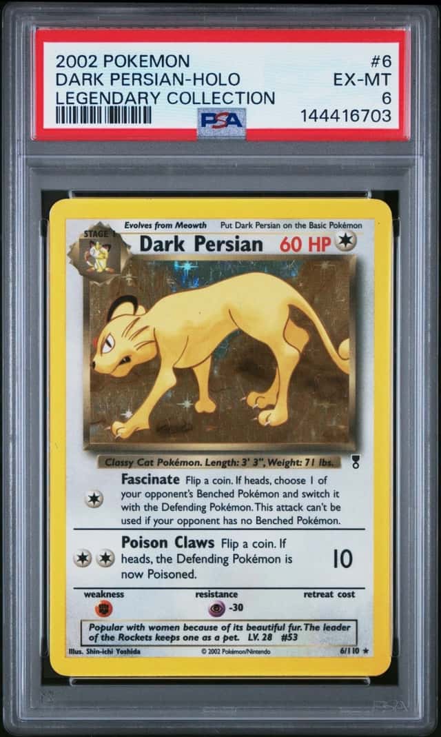 Dark Persian