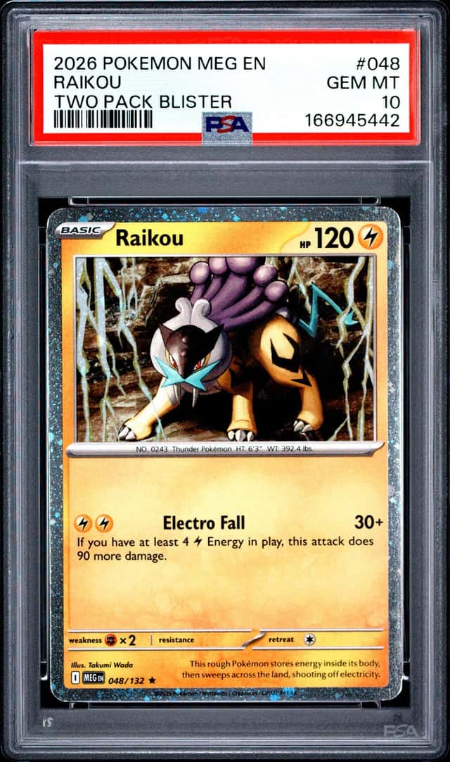 Raikou