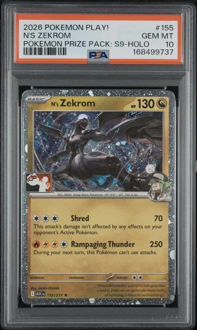 N's Zekrom