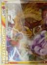 Entei & Raikou Legend