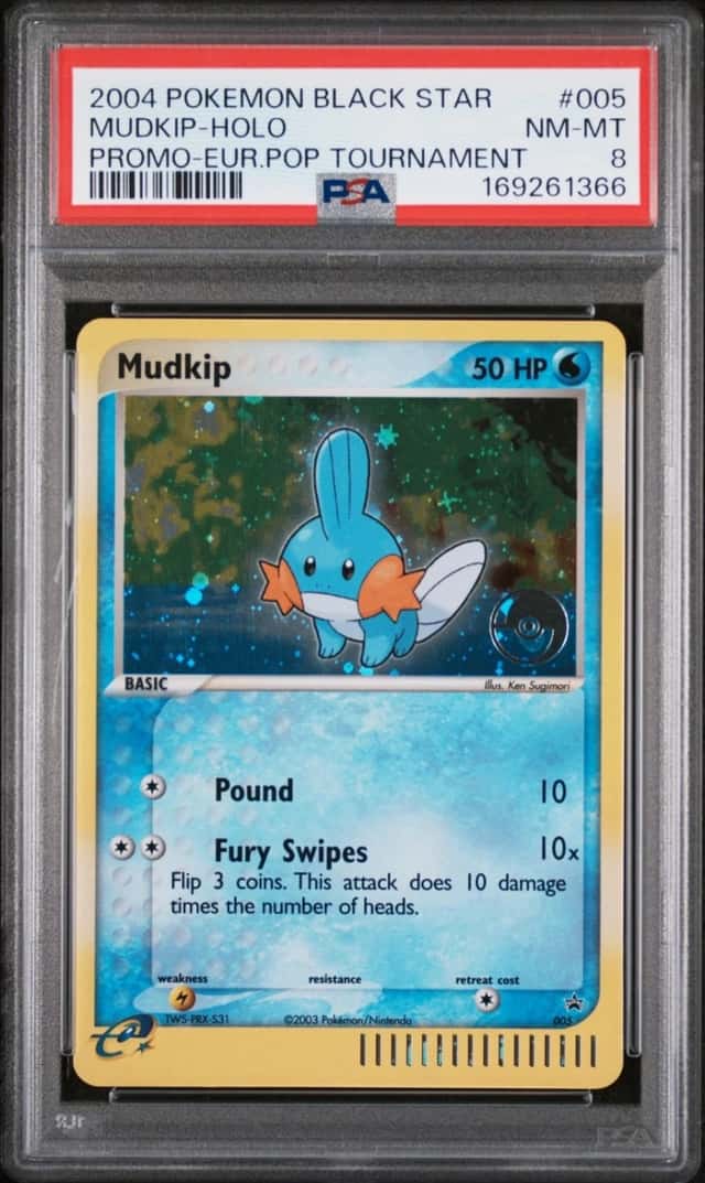 Mudkip